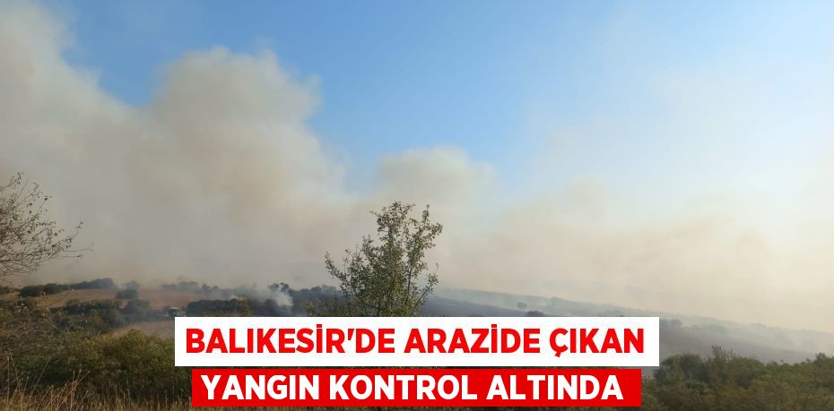 Balıkesir'de arazide çıkan yangın kontrol altında