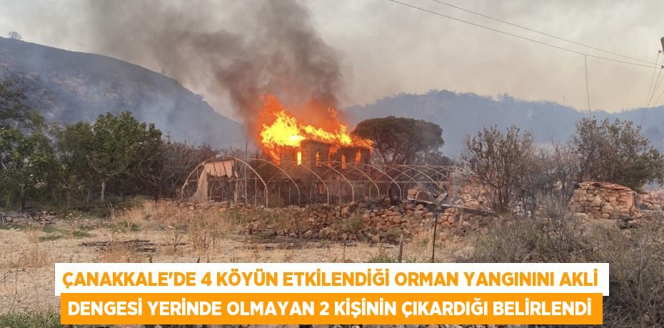 Çanakkale’de 4 köyün etkilendiği orman yangınını akli dengesi yerinde olmayan 2 kişinin çıkardığı belirlendi