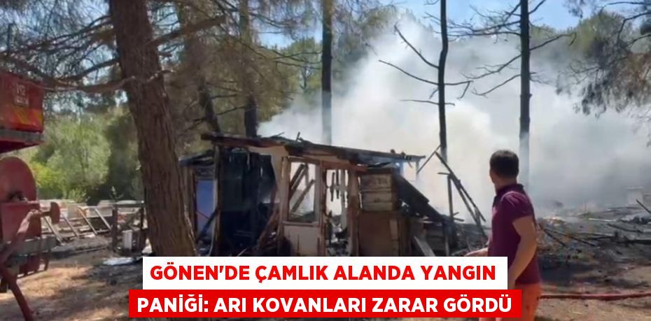Gönen’de çamlık alanda yangın paniği: Arı kovanları zarar gördü