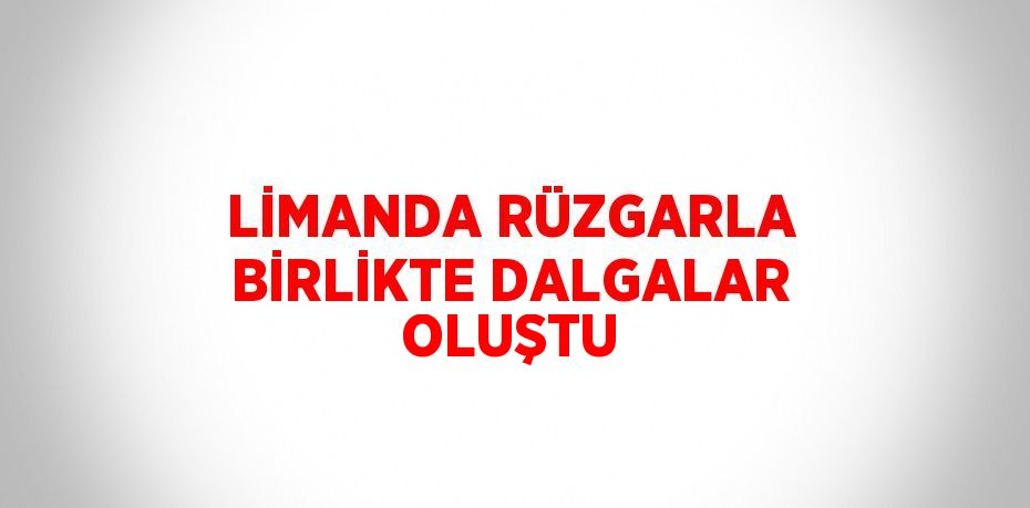 LİMANDA RÜZGARLA BİRLİKTE DALGALAR OLUŞTU