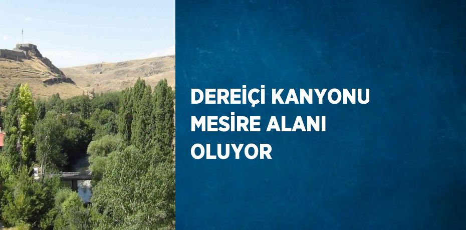 DEREİÇİ KANYONU MESİRE ALANI OLUYOR