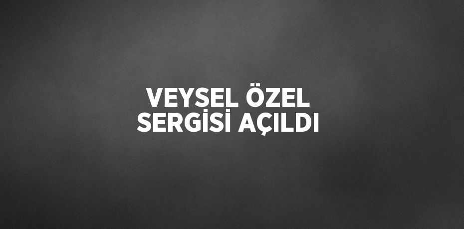 VEYSEL ÖZEL SERGİSİ AÇILDI