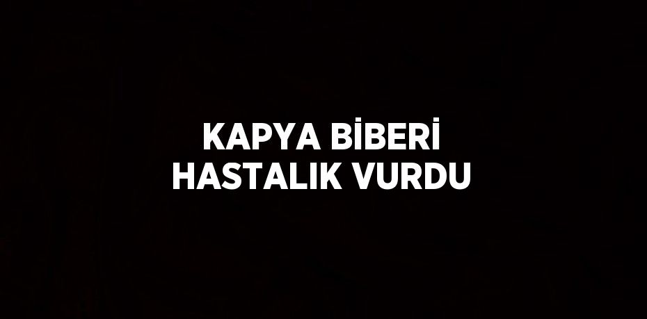 KAPYA BİBERİ HASTALIK VURDU