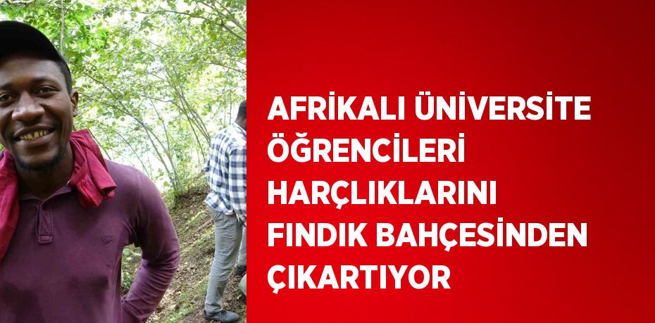 AFRİKALI ÜNİVERSİTE ÖĞRENCİLERİ HARÇLIKLARINI FINDIK BAHÇESİNDEN ÇIKARTIYOR