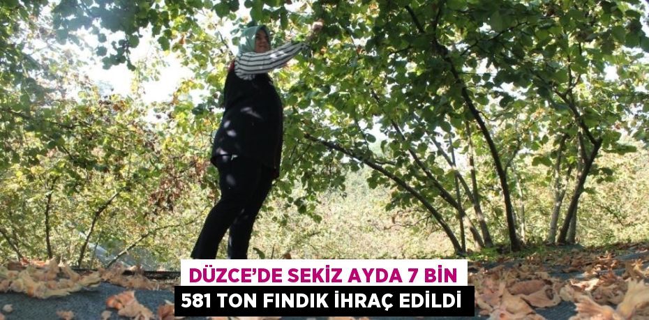 DÜZCE’DE SEKİZ AYDA 7 BİN 581 TON FINDIK İHRAÇ EDİLDİ