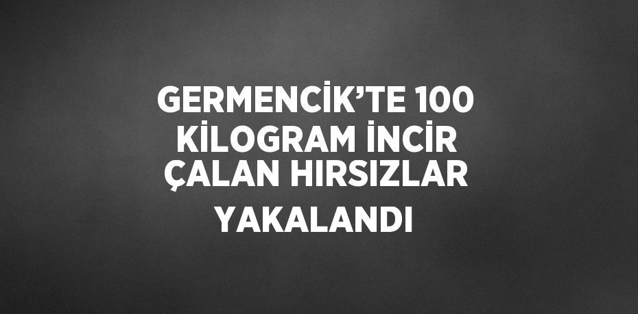 GERMENCİK’TE 100 KİLOGRAM İNCİR ÇALAN HIRSIZLAR YAKALANDI