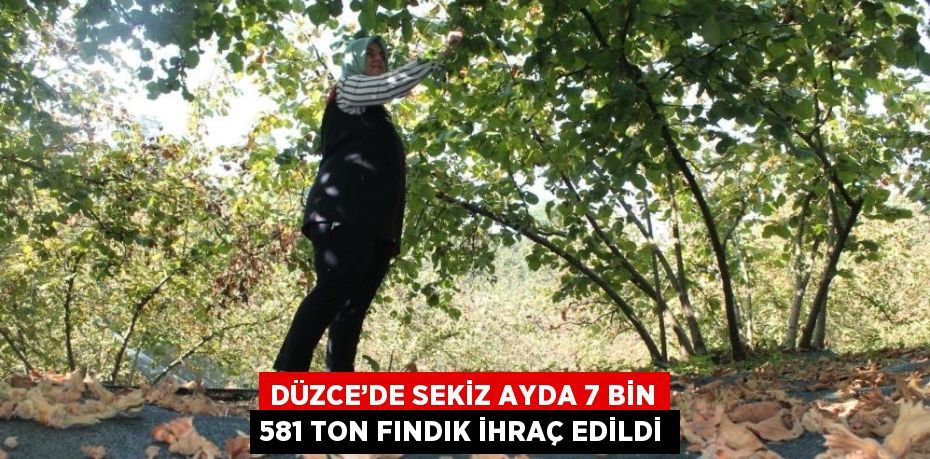 DÜZCE’DE SEKİZ AYDA 7 BİN 581 TON FINDIK İHRAÇ EDİLDİ