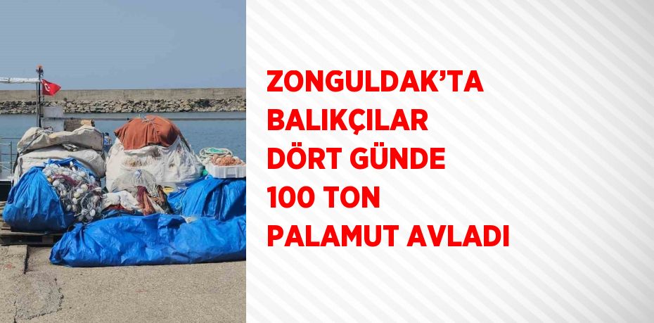 ZONGULDAK’TA BALIKÇILAR DÖRT GÜNDE 100 TON PALAMUT AVLADI