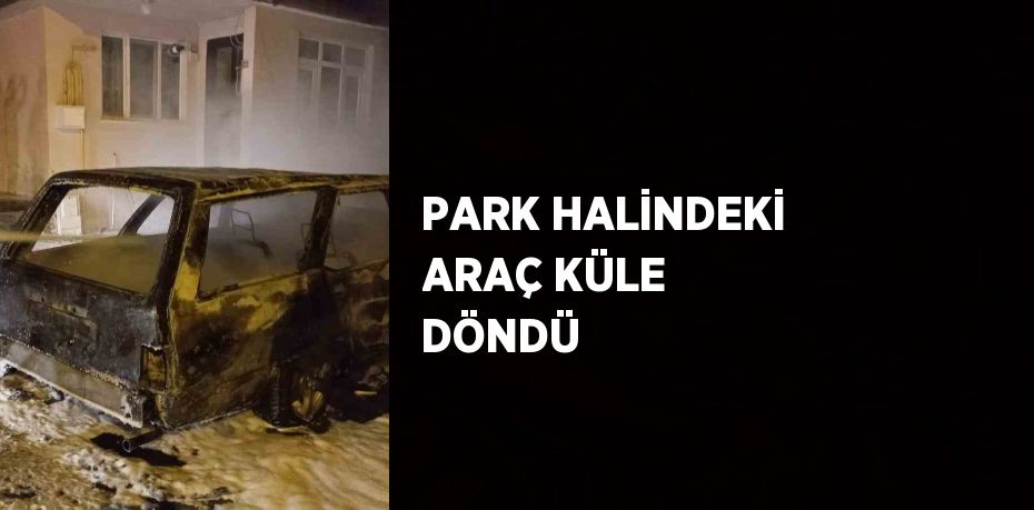 PARK HALİNDEKİ ARAÇ KÜLE DÖNDÜ