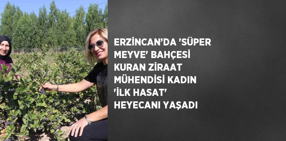 ERZİNCAN’DA 'SÜPER MEYVE' BAHÇESİ KURAN ZİRAAT MÜHENDİSİ KADIN 'İLK HASAT' HEYECANI YAŞADI