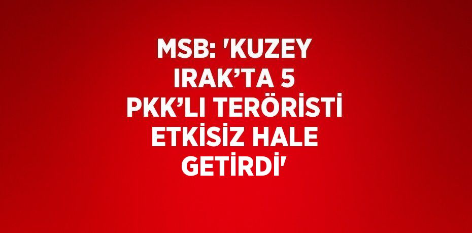 MSB: 'KUZEY IRAK’TA 5 PKK’LI TERÖRİSTİ ETKİSİZ HALE GETİRDİ'