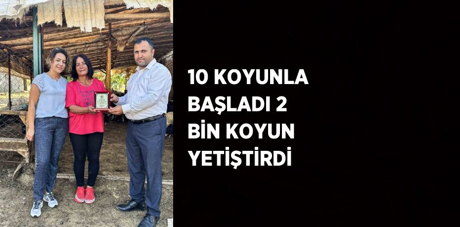 10 KOYUNLA BAŞLADI 2 BİN KOYUN YETİŞTİRDİ