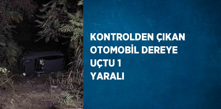 KONTROLDEN ÇIKAN OTOMOBİL DEREYE UÇTU 1 YARALI