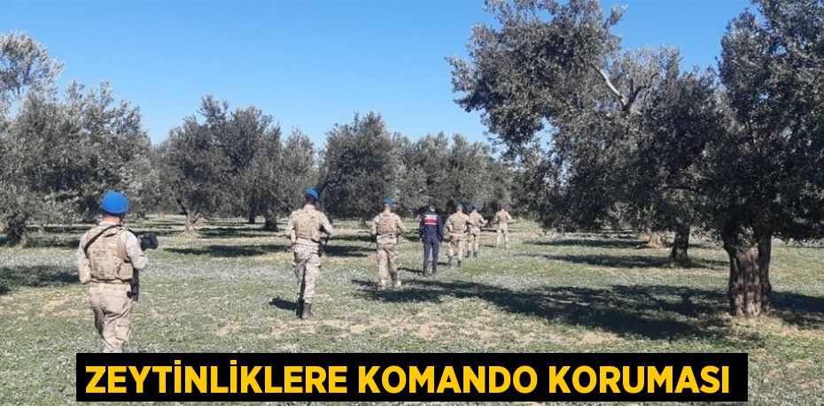 ZEYTİNLİKLERE KOMANDO KORUMASI