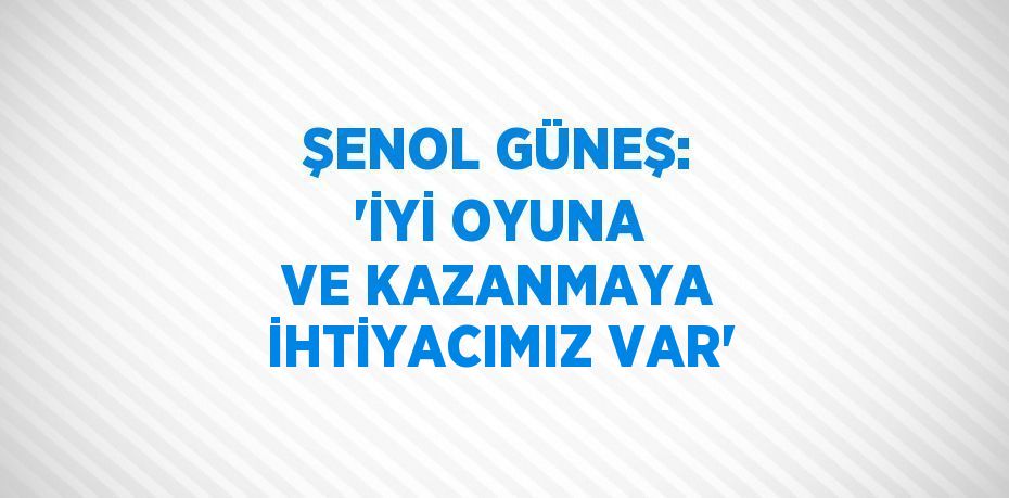 ŞENOL GÜNEŞ: 'İYİ OYUNA VE KAZANMAYA İHTİYACIMIZ VAR'