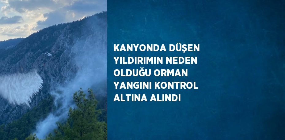 KANYONDA DÜŞEN YILDIRIMIN NEDEN OLDUĞU ORMAN YANGINI KONTROL ALTINA ALINDI