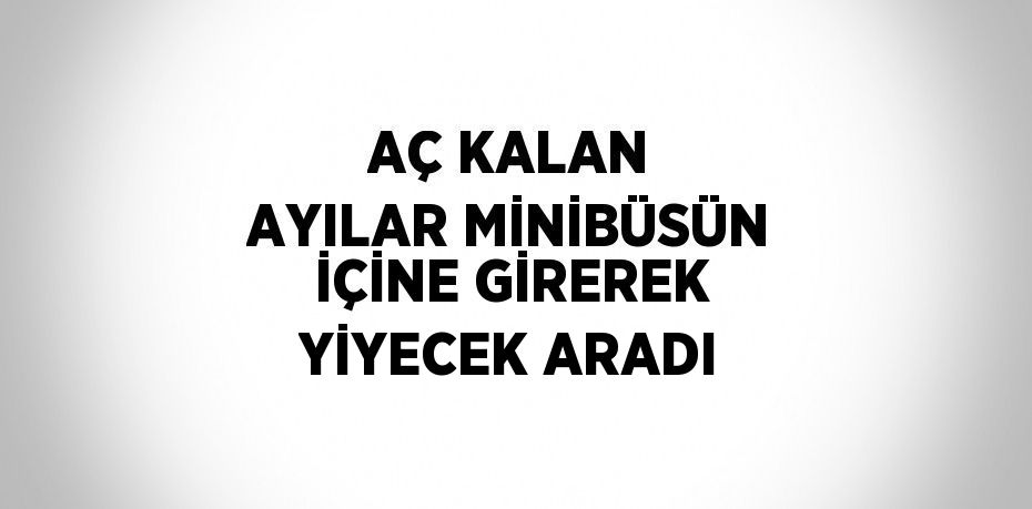 AÇ KALAN AYILAR MİNİBÜSÜN İÇİNE GİREREK YİYECEK ARADI