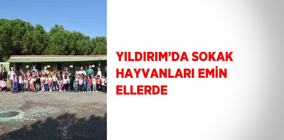 YILDIRIM’DA SOKAK HAYVANLARI EMİN ELLERDE