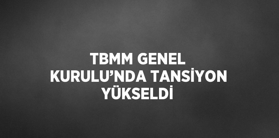 TBMM GENEL KURULU’NDA TANSİYON YÜKSELDİ