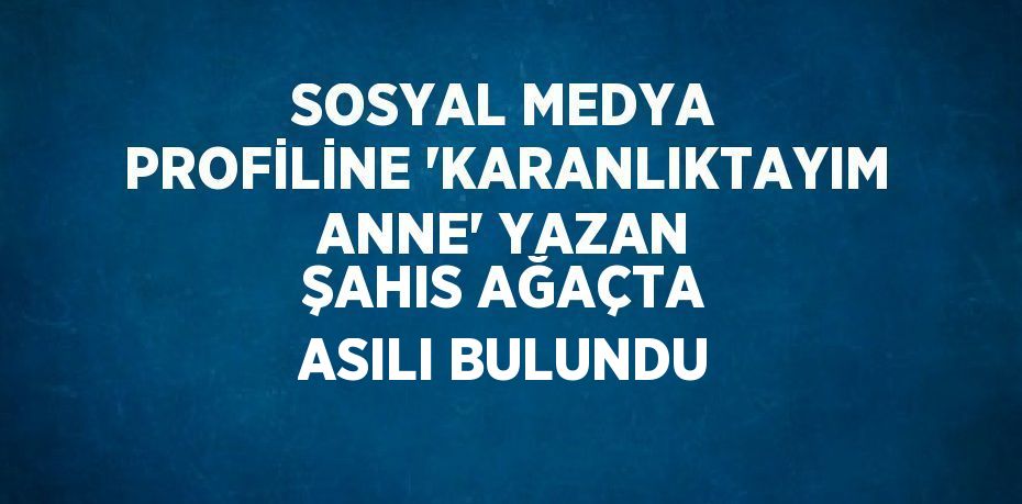 SOSYAL MEDYA PROFİLİNE 'KARANLIKTAYIM ANNE' YAZAN ŞAHIS AĞAÇTA ASILI BULUNDU