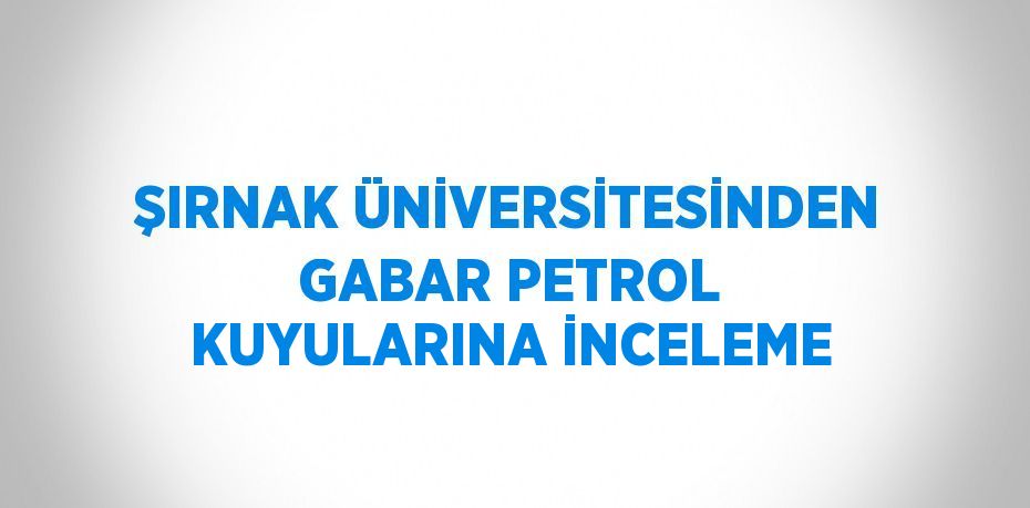 ŞIRNAK ÜNİVERSİTESİNDEN GABAR PETROL KUYULARINA İNCELEME