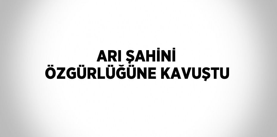 ARI ŞAHİNİ ÖZGÜRLÜĞÜNE KAVUŞTU