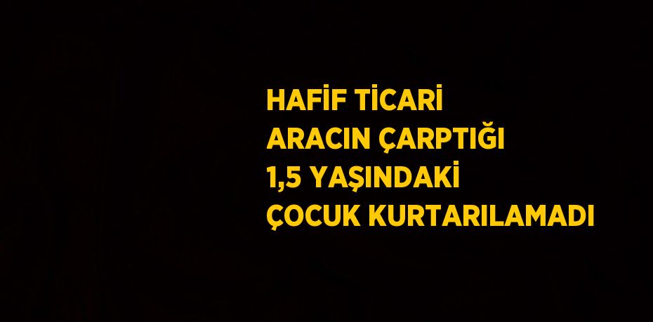 HAFİF TİCARİ ARACIN ÇARPTIĞI 1,5 YAŞINDAKİ ÇOCUK KURTARILAMADI