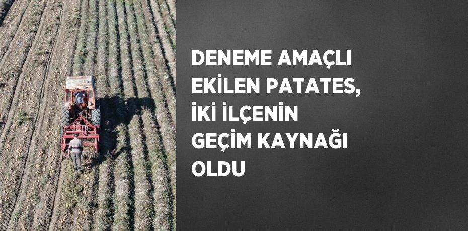 DENEME AMAÇLI EKİLEN PATATES, İKİ İLÇENİN GEÇİM KAYNAĞI OLDU