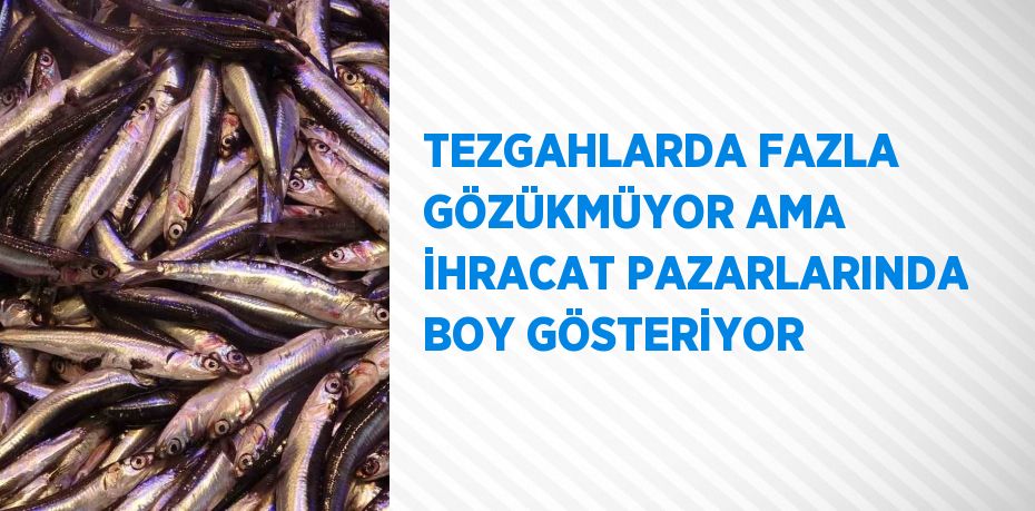 TEZGAHLARDA FAZLA GÖZÜKMÜYOR AMA İHRACAT PAZARLARINDA BOY GÖSTERİYOR