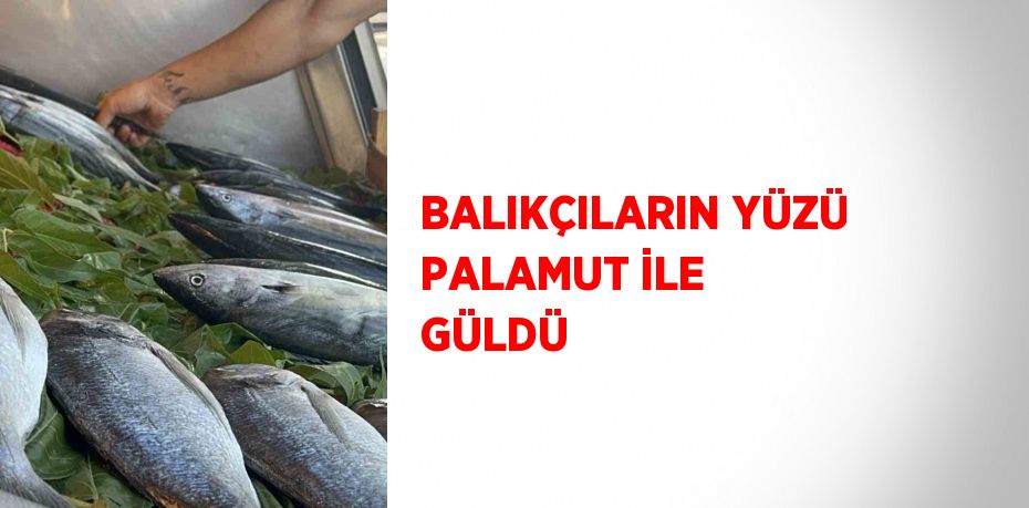 BALIKÇILARIN YÜZÜ PALAMUT İLE GÜLDÜ