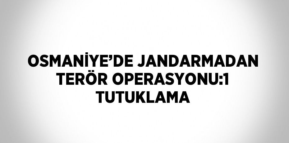 OSMANİYE’DE JANDARMADAN TERÖR OPERASYONU:1 TUTUKLAMA