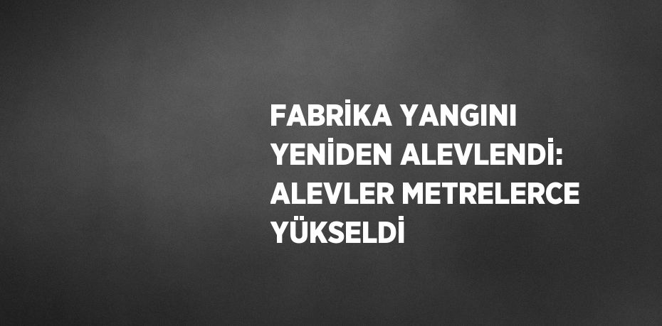 FABRİKA YANGINI YENİDEN ALEVLENDİ: ALEVLER METRELERCE YÜKSELDİ