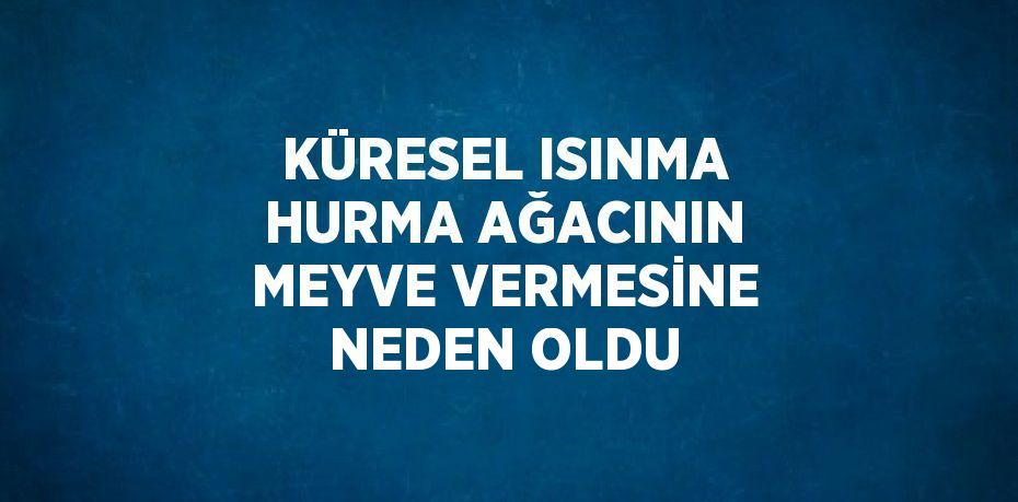 KÜRESEL ISINMA HURMA AĞACININ MEYVE VERMESİNE NEDEN OLDU