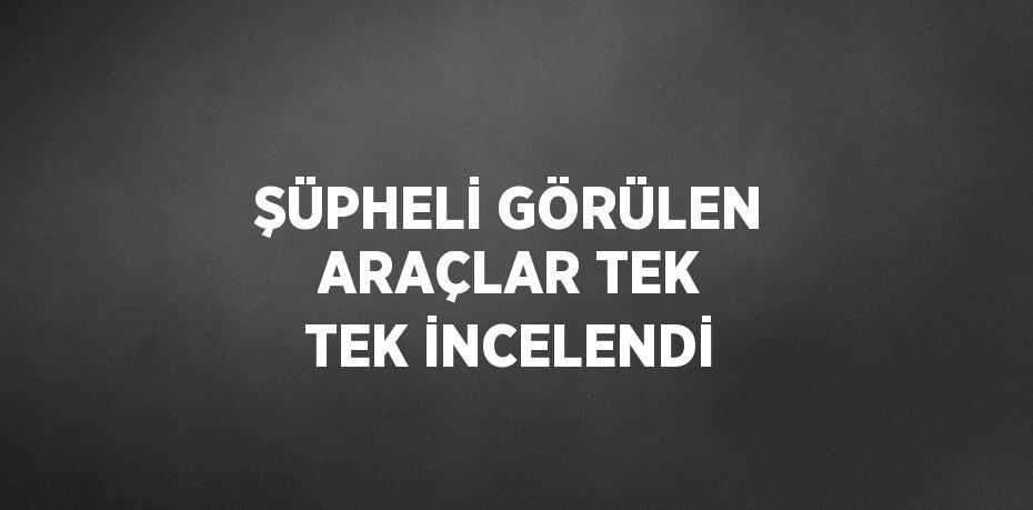 ŞÜPHELİ GÖRÜLEN ARAÇLAR TEK TEK İNCELENDİ