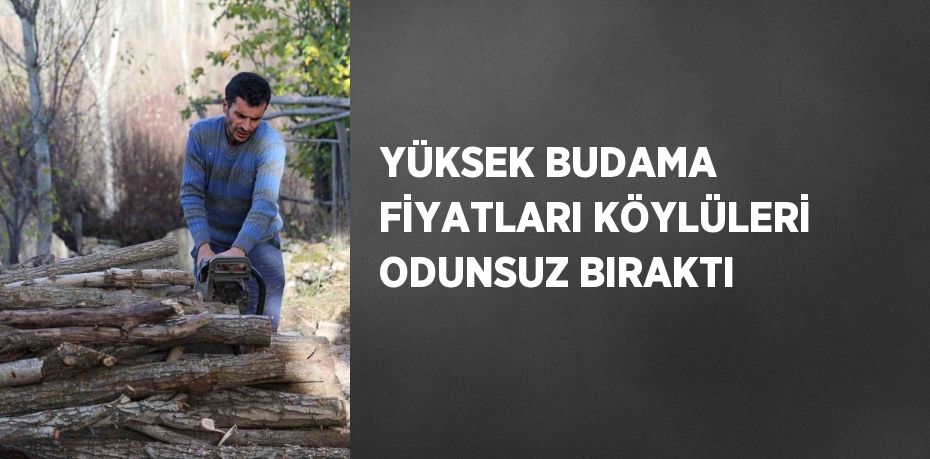 YÜKSEK BUDAMA FİYATLARI KÖYLÜLERİ ODUNSUZ BIRAKTI