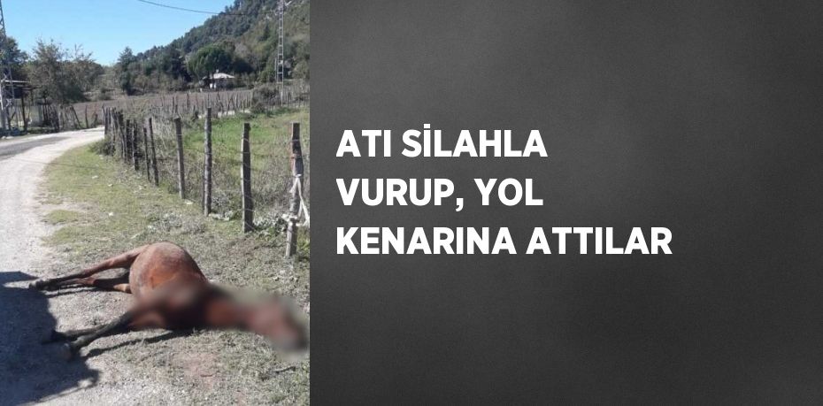 ATI SİLAHLA VURUP, YOL KENARINA ATTILAR