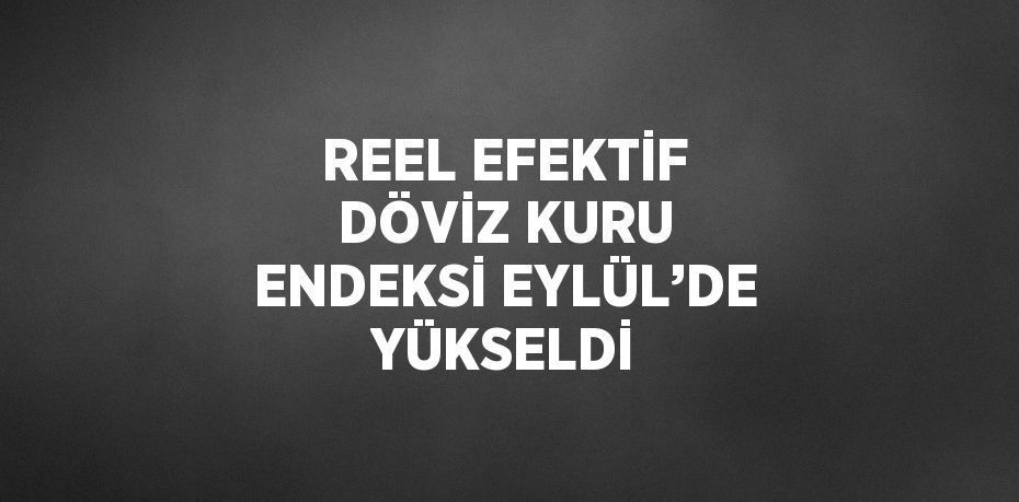 REEL EFEKTİF DÖVİZ KURU ENDEKSİ EYLÜL’DE YÜKSELDİ