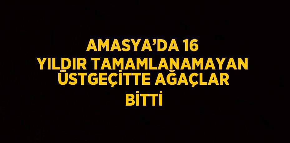 AMASYA’DA 16 YILDIR TAMAMLANAMAYAN ÜSTGEÇİTTE AĞAÇLAR BİTTİ