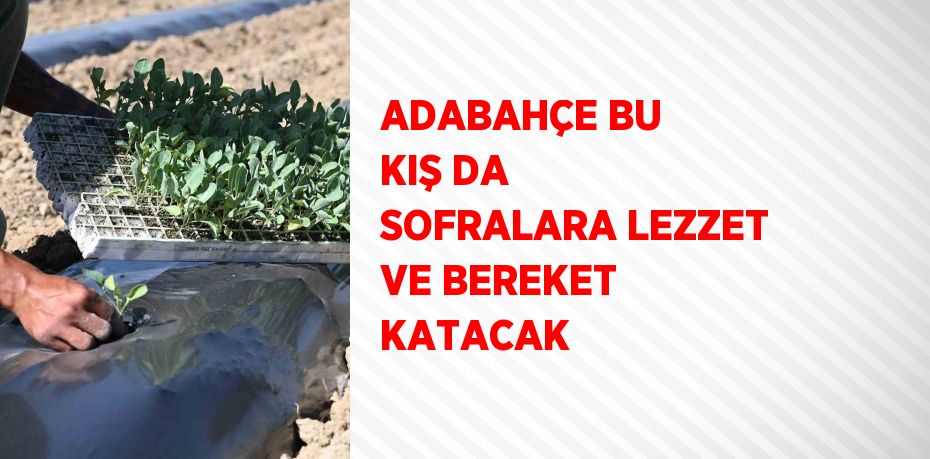 ADABAHÇE BU KIŞ DA SOFRALARA LEZZET VE BEREKET KATACAK