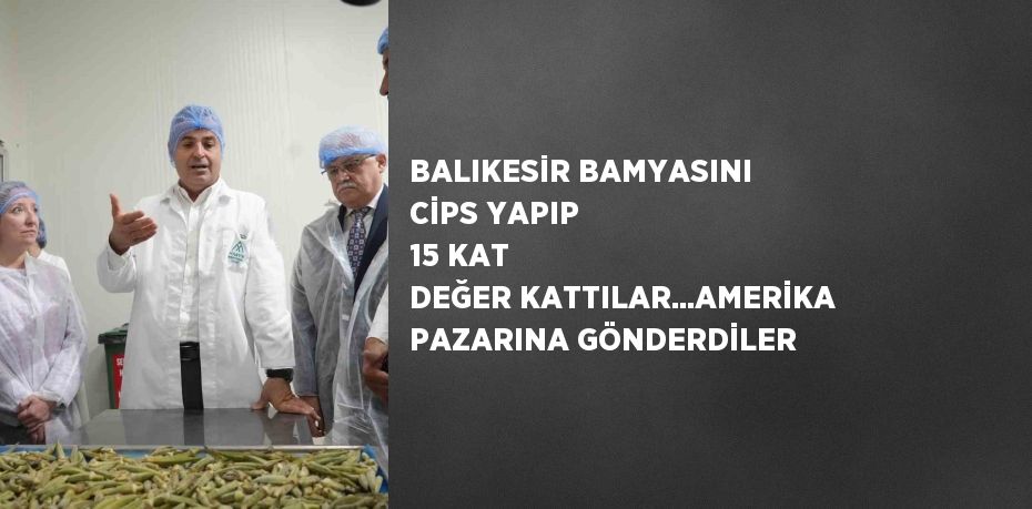 BALIKESİR BAMYASINI CİPS YAPIP 15 KAT DEĞER KATTILAR...AMERİKA PAZARINA GÖNDERDİLER