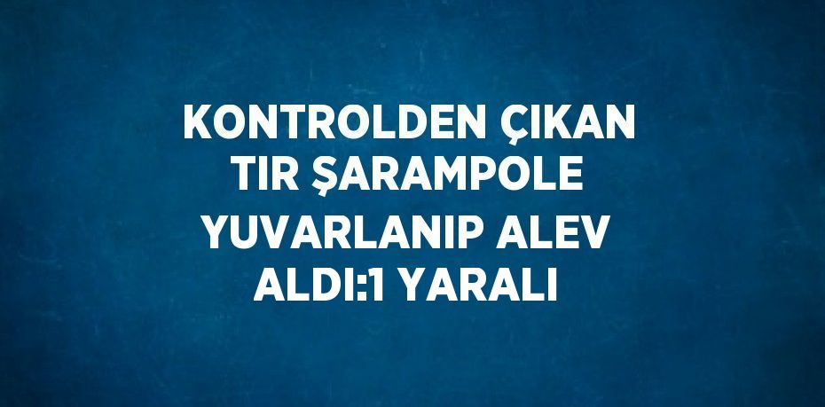 KONTROLDEN ÇIKAN TIR ŞARAMPOLE YUVARLANIP ALEV ALDI:1 YARALI