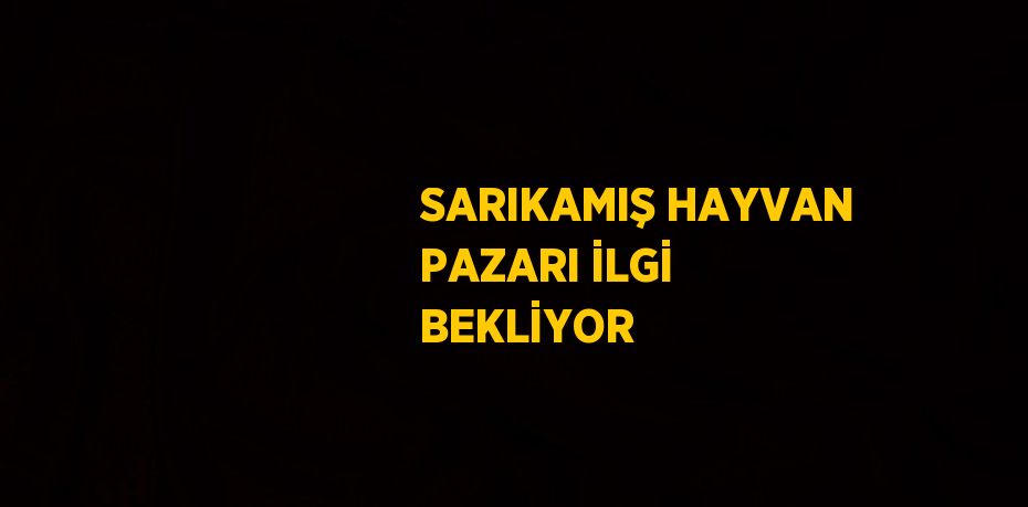 SARIKAMIŞ HAYVAN PAZARI İLGİ BEKLİYOR