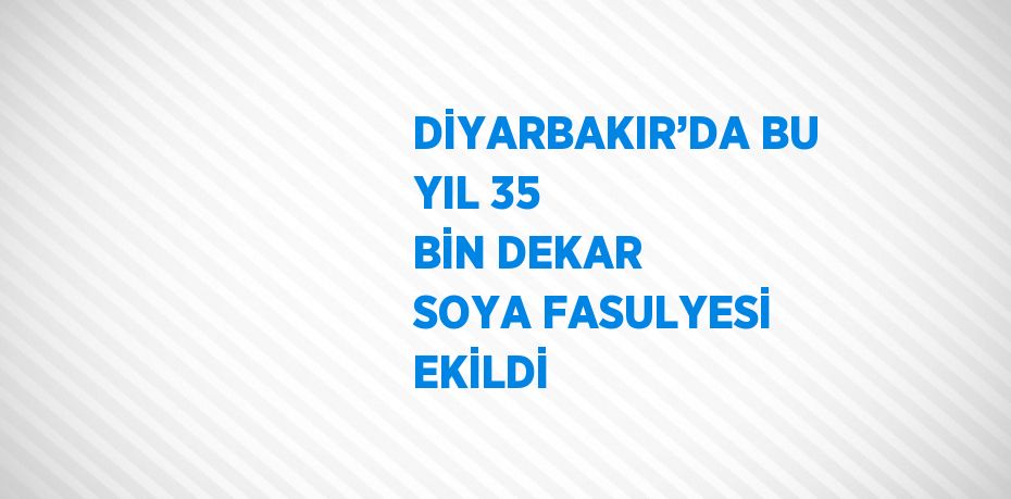 DİYARBAKIR’DA BU YIL 35 BİN DEKAR SOYA FASULYESİ EKİLDİ