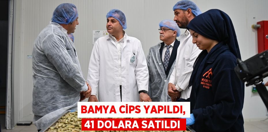 BAMYA CİPS YAPILDI, 41 DOLARA SATILDI