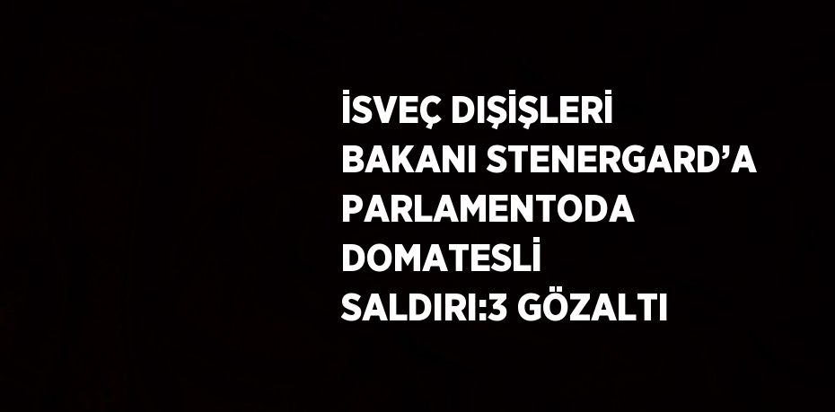 İSVEÇ DIŞİŞLERİ BAKANI STENERGARD’A PARLAMENTODA DOMATESLİ SALDIRI:3 GÖZALTI