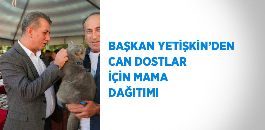 BAŞKAN YETİŞKİN’DEN CAN DOSTLAR İÇİN MAMA DAĞITIMI