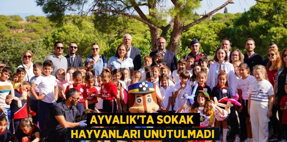 AYVALIK’TA SOKAK HAYVANLARI UNUTULMADI