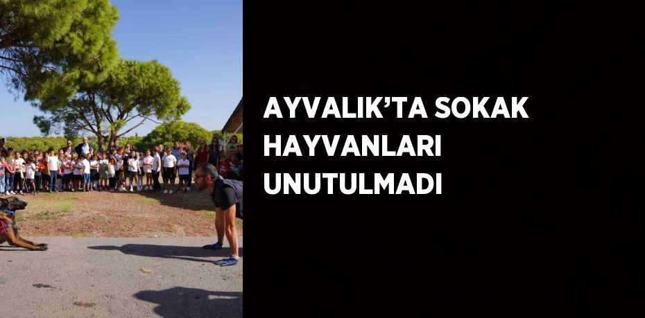 AYVALIK’TA SOKAK HAYVANLARI UNUTULMADI