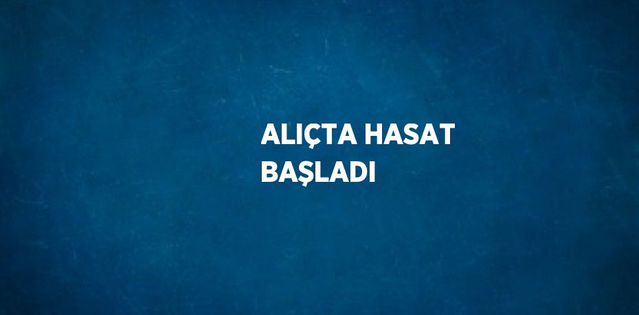 ALIÇTA HASAT BAŞLADI