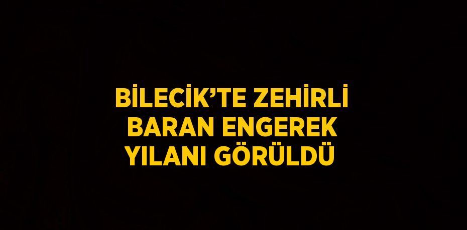 BİLECİK’TE ZEHİRLİ BARAN ENGEREK YILANI GÖRÜLDÜ